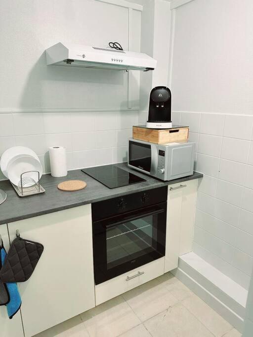 Grand Appartement Peripherie De Paris Et N1 "Appart'6" ピエールフィット・シュル・セーヌ エクステリア 写真